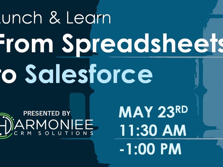 From Spreadsheets to Salesforce